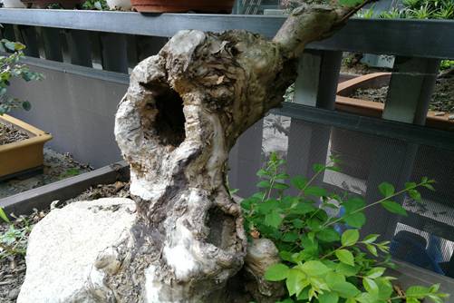 单反镜头如何转动久久精品人人爽人人爽掌握技巧,轻松玩转!单反镜头如何转动的奥秘解析